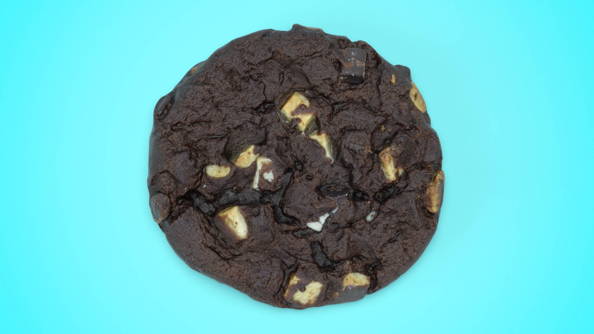 Close-up of a chocolate cookie.